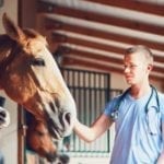 Spring Horse Care Tips
