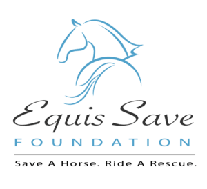 rescue horses