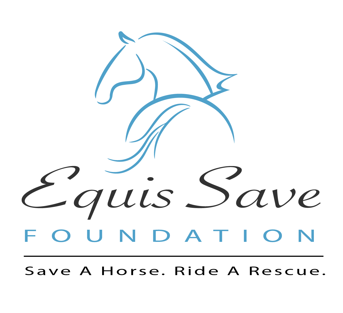 A Rescue for Abused & Neglected Horses