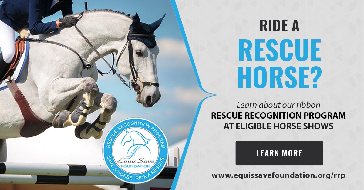 Eventing Competitions for Rescue Horses