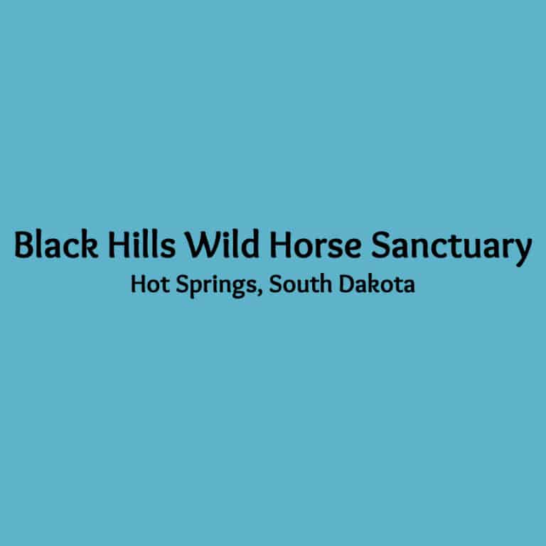 Black Hills Wild Horse Rescue · Equis Save Foundation