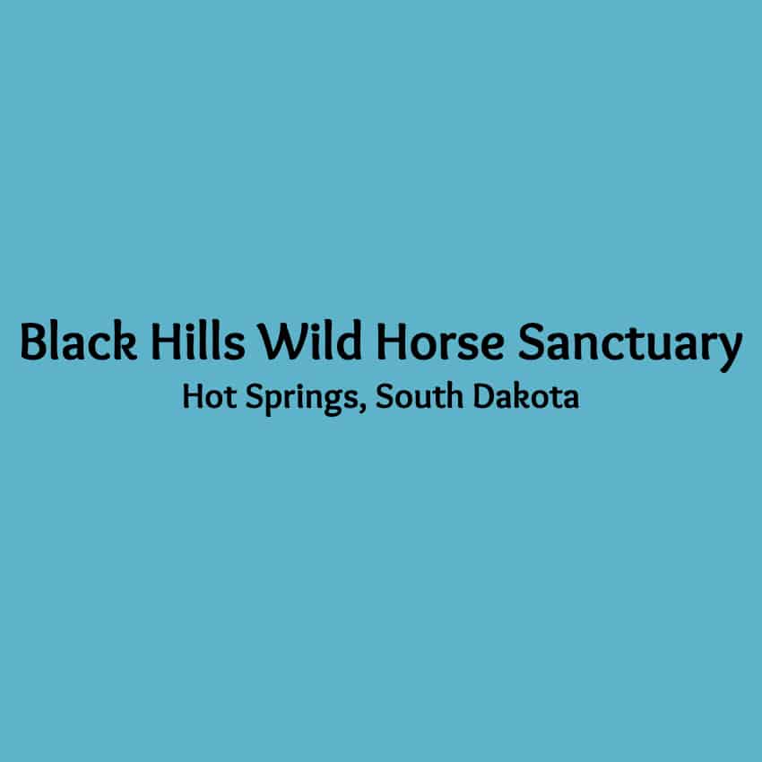 Black Hills Wild Horse Rescue