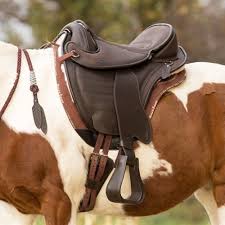 Avoid Saddle Fitting Issues