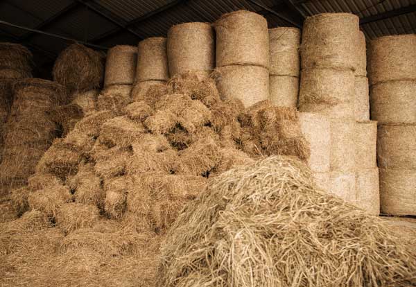 Is your horse hay safe and nutritious?